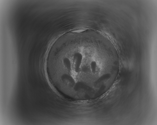 X0000102300049200808011411