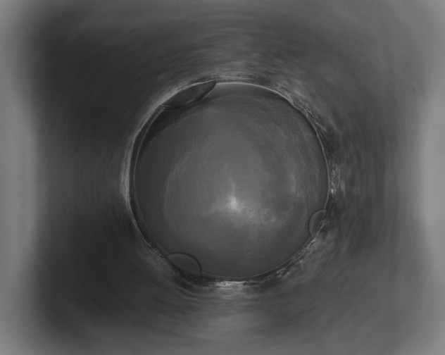 X0000102300052200808011411