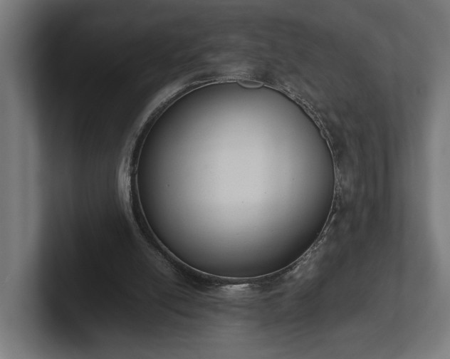 X0000102300054200808011411