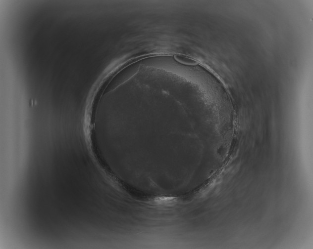 X0000102300055200808011411