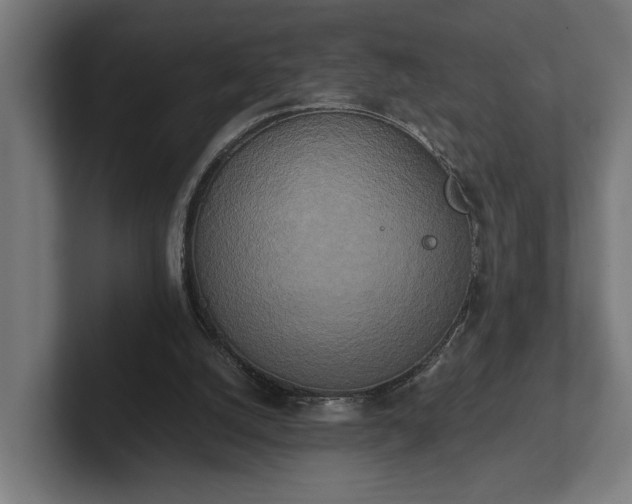 X0000102300056200808011411