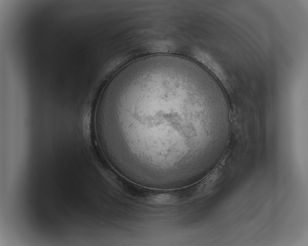 X0000102300058200808011411