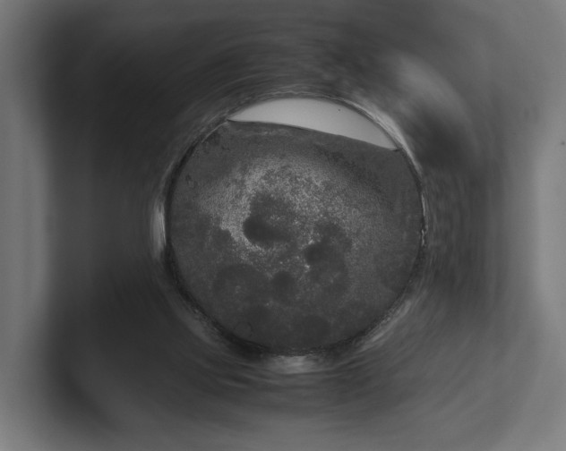 X0000102300061200808011411