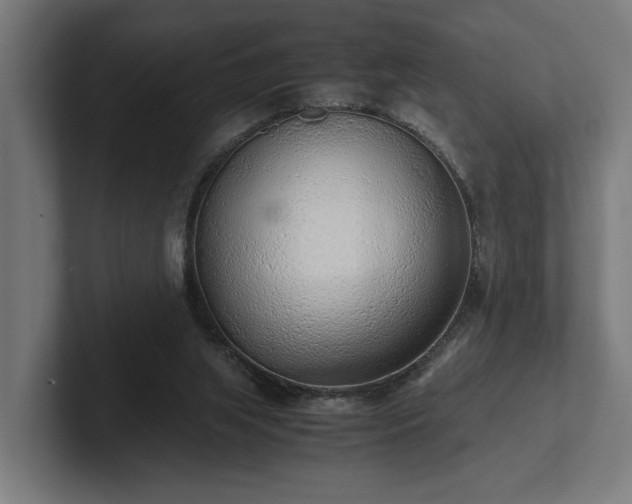 X0000102300063200808011411