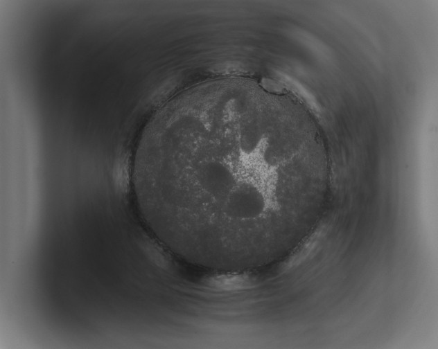 X0000102300065200808011411