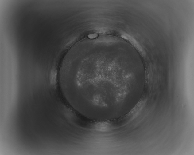 X0000102300066200808011411