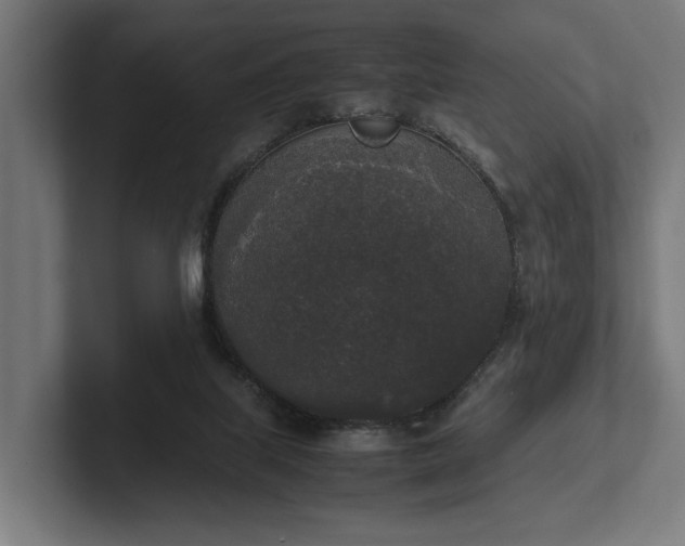 X0000102300067200808011411