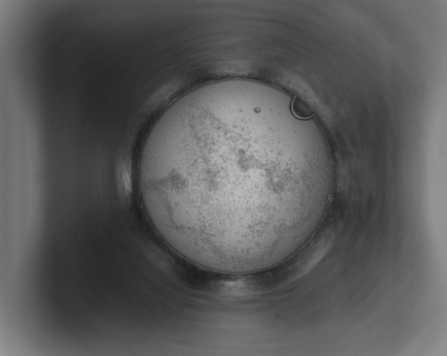 X0000102300068200808011411