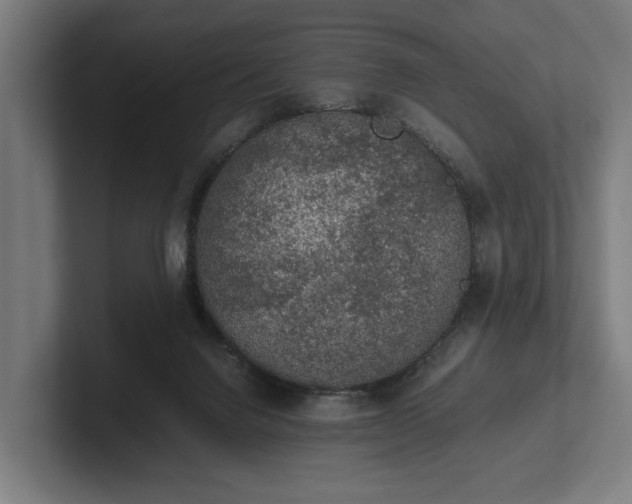 X0000102300072200808011411