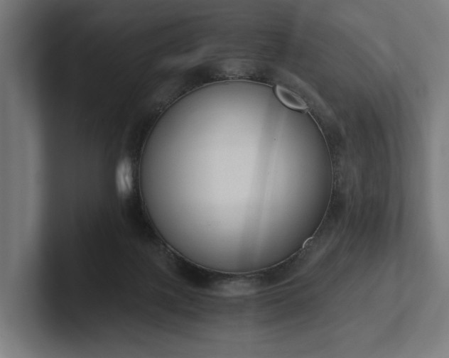 X0000102300075200808011411