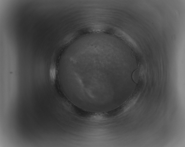 X0000102300076200808011411