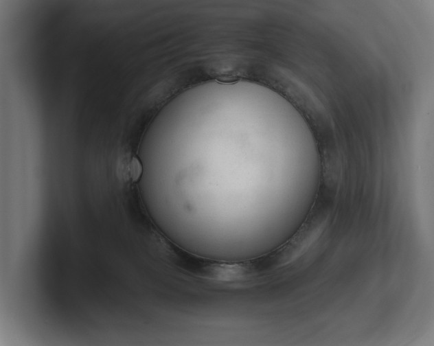 X0000102300085200808011411