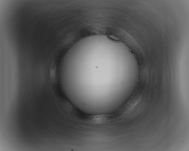 X0000102300088200808011411