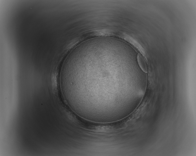 X0000102300105200808011411