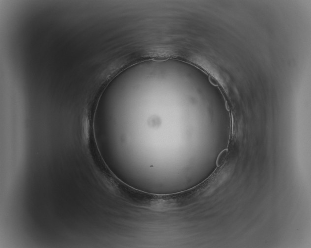 X0000102300109200808011410