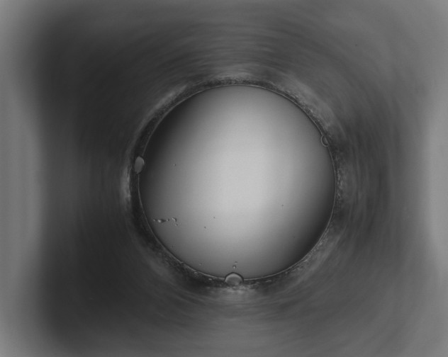 X0000102300112200808011410