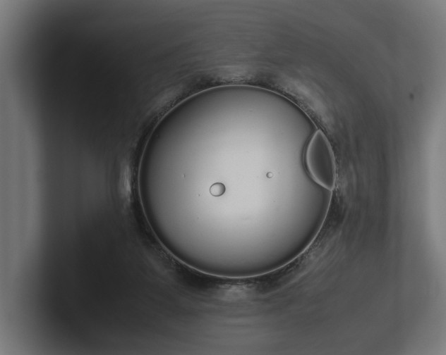 X0000102300115200808011410