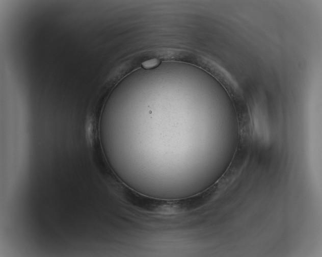 X0000102300119200808011410