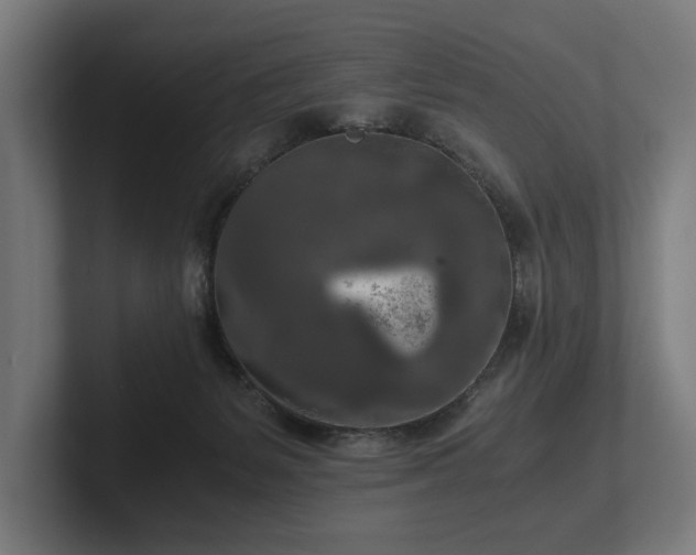 X0000102300127200808011410