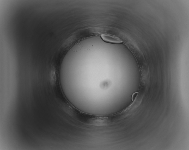 X0000102300128200808011410