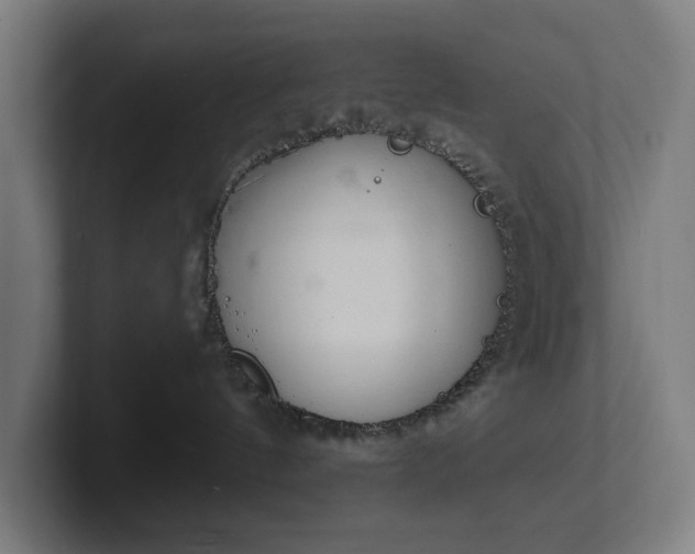 X0000102300144200808011410