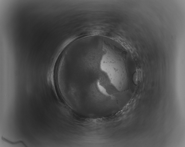 X0000102300147200808011409