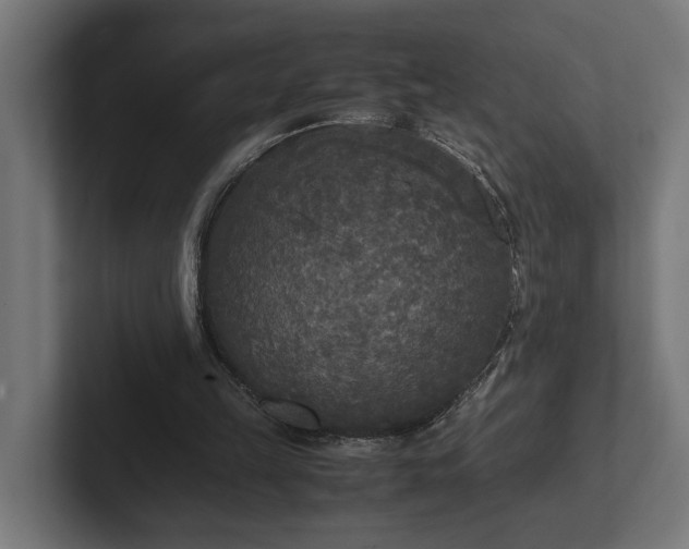 X0000102300149200808011409