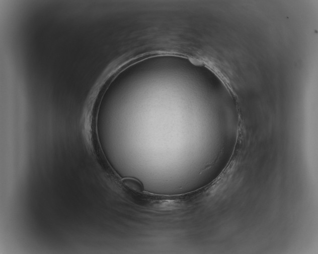 X0000102300151200808011409