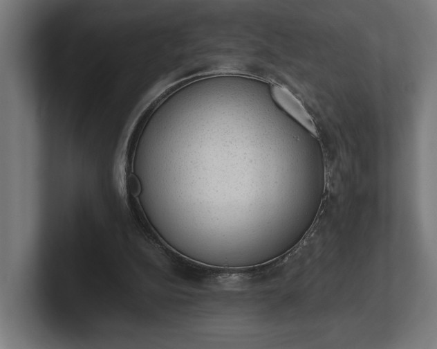 X0000102300152200808011409