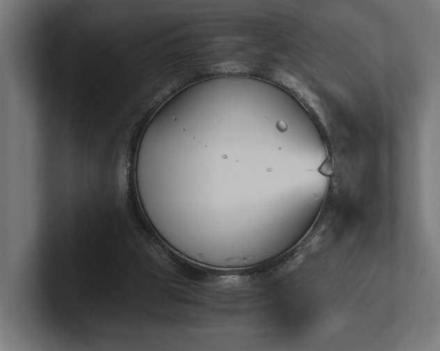 X0000102300153200808011409