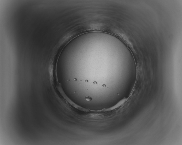 X0000102300154200808011409