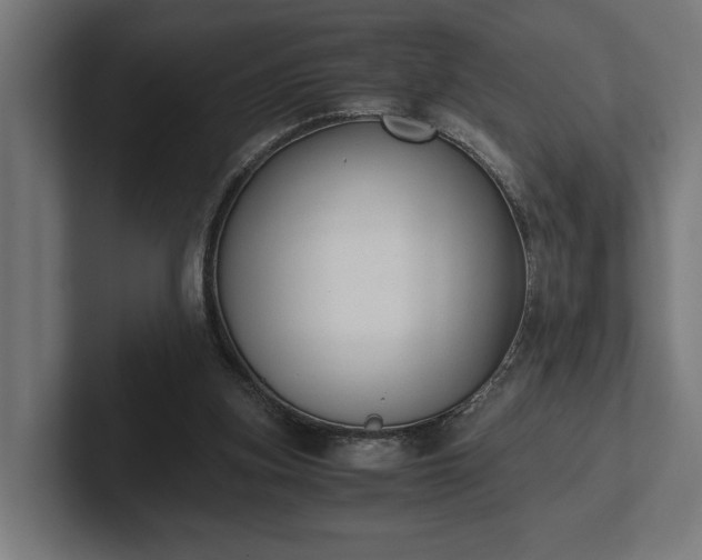 X0000102300155200808011410