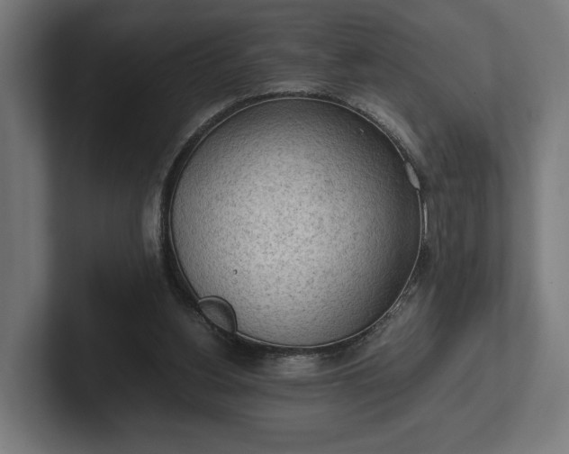 X0000102300156200808011410