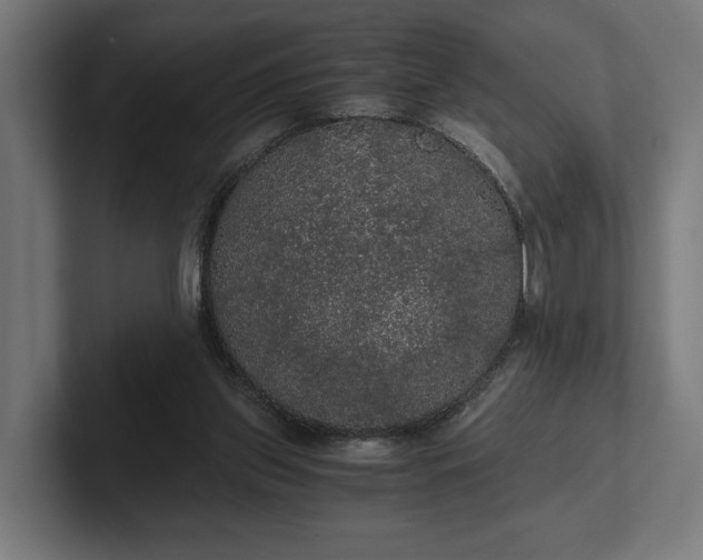 X0000102300157200808011410