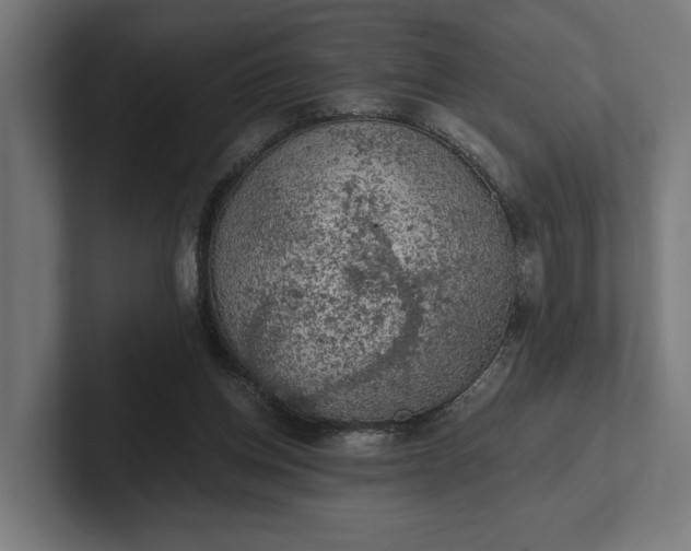 X0000102300158200808011410