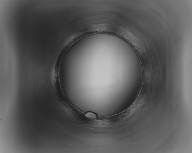 X0000102300160200808011410