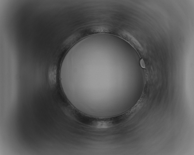 X0000102300163200808011410