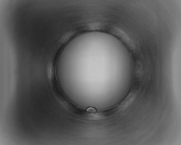 X0000102300164200808011410