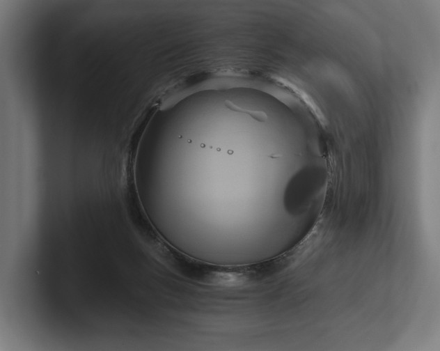 X0000102300167200808011410