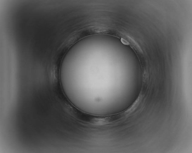 X0000102300170200808011410