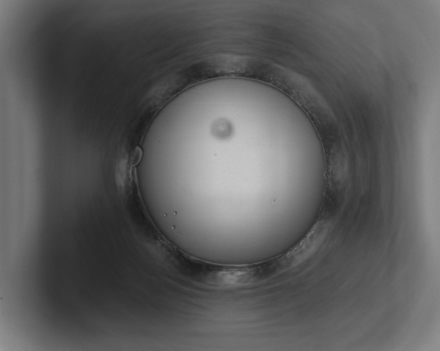 X0000102300172200808011410