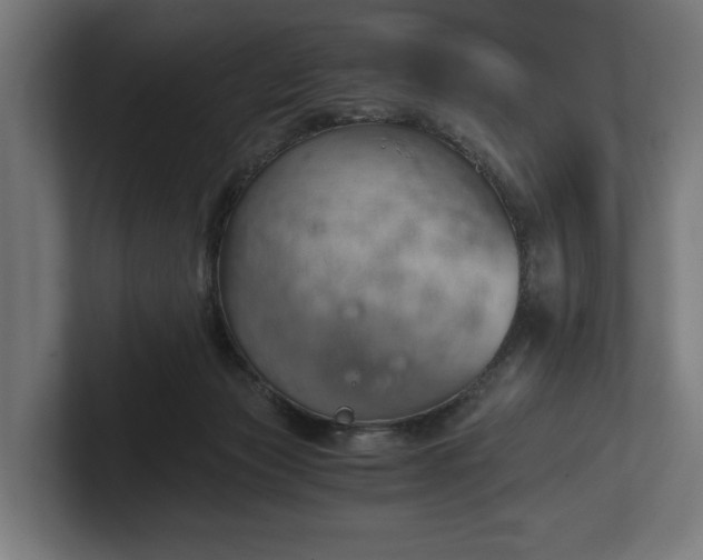 X0000102300173200808011410