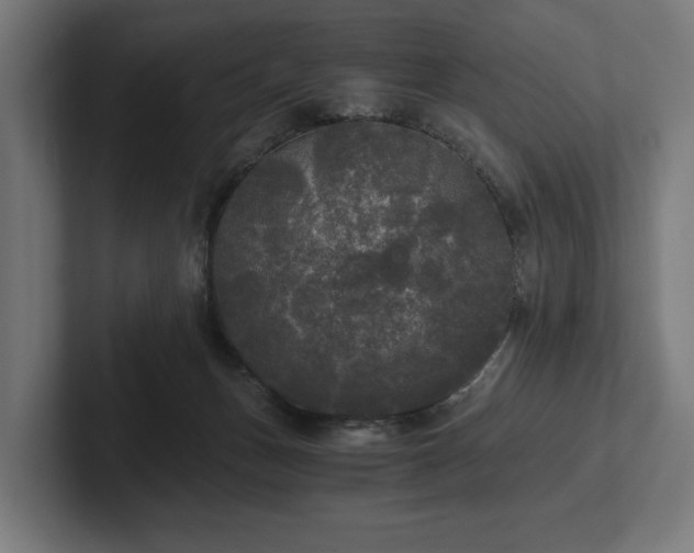 X0000102300175200808011410