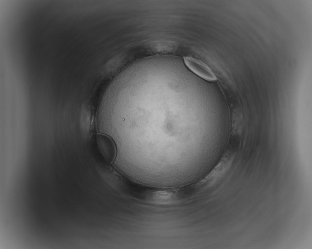 X0000102300176200808011410