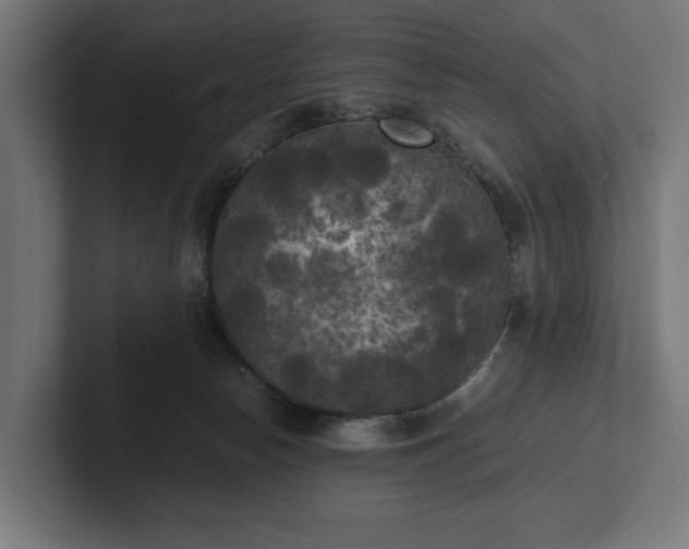 X0000102300178200808011410