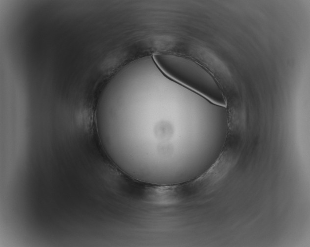 X0000102300184200808011410