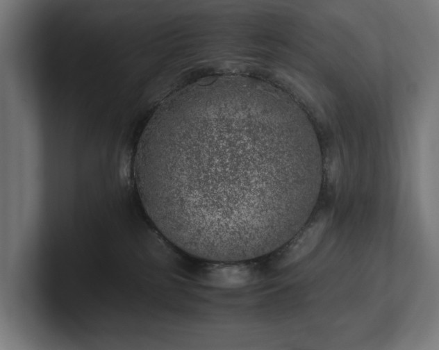 X0000102300185200808011410