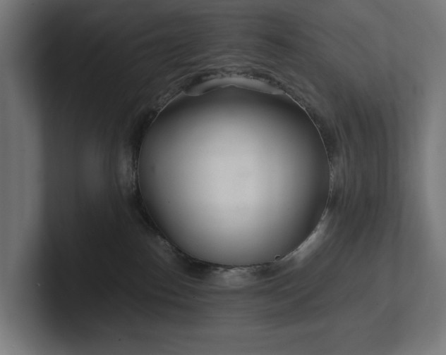 X0000102300186200808011410