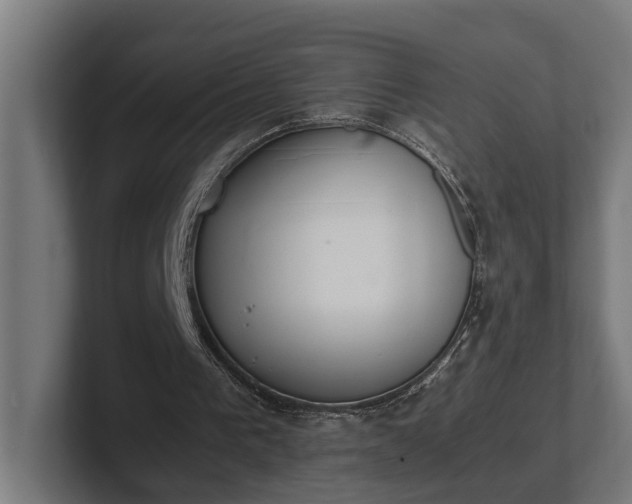 X0000102300193200808011409