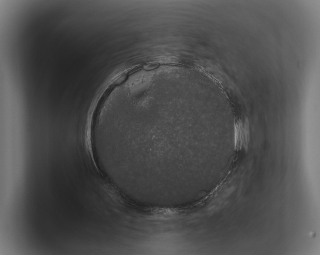 X0000102300195200808011409